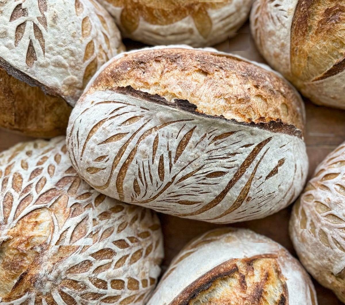 Easy Sourdough Bread Recipe